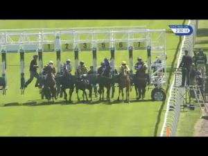 Video preview image for Hamilton Park 14:00 - Lockton Companies 50th Anniversary Novice Auction Stakes