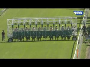 Video preview image for Hamilton Park 14:30 - Watch Racing UK In HD Apprentice Handicap
