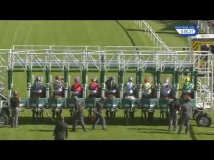 Video preview image for Hamilton Park 17:00 - D M Hall Handicap