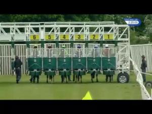 Video preview image for Catterick Bridge 14:25 - Dine and View At Catterick Races Selling Stakes