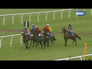 Video preview image for Market Rasen 14:50 - Susan Eastwood Beginners' Chase