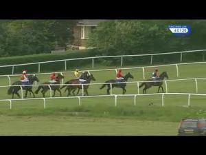 Video preview image for Market Rasen 16:00 - Thompson & Richardson Insurance Brokers Handicap Hurdle