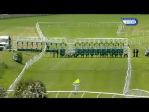 Video preview image for Catterick Bridge 16:10 - Free Month Trial Racing UK Handicap