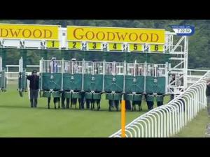 Video preview image for Goodwood 19:20 - Derries Lower Novice Stakes (In Memory Of Fred and Norma Dudley)