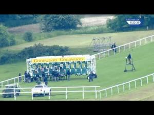 Video preview image for Goodwood 20:20 - Russian Original Standard Handicap