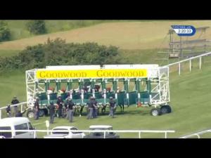 Video preview image for Goodwood 14:20 - Liz Jones Celebrating 30 Years NSPCC Fundraising Stakes (Handicap)