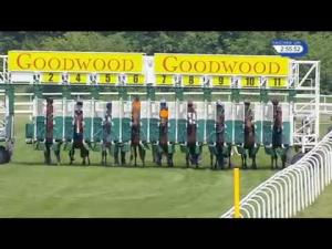 Video preview image for Goodwood 14:55 - Harriet The Pint Sized Fighter Memorial Veterans' Stakes (Handicap)