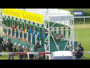 Video preview image for Goodwood 15:30 - Maywal Stakes (Handicap)