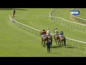 Video preview image for Perth 15:45 - Realm Construction Novices' Chase