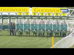 Video preview image for Goodwood 16:00 - Cappagh Building A Better Future Selling Stakes