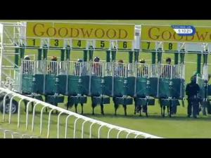 Video preview image for Goodwood 17:10 - NSPCC Charity Raceday Stakes (Handicap)