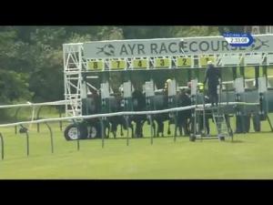 Video preview image for Ayr 14:30 - Totejackpot Available Every Day Median Auction Maiden Stakes