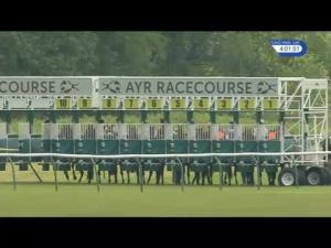 Video preview image for Ayr 16:00 - Totetrifecta Pick The 1, 2, 3 Handicap