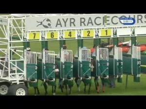 Video preview image for Ayr 17:00 - totepoolliveinfo.com Handicap (For Lady Amateur Riders)