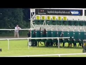 Video preview image for Haydock Park 15:40 - Apollobet Daily Racing Refunds Handicap