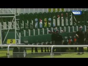 Video preview image for Haydock Park 16:10 - Apollobet Bet Through Your Mobile Handicap