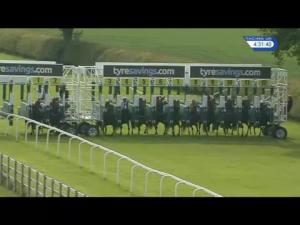 Video preview image for Beverley 16:30 - Beverley Folk Festival Here Next Week Handicap