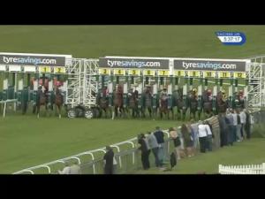 Video preview image for Beverley 17:30 - Cottingham Handicap