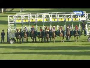 Video preview image for Hamilton Park 18:45 - Taggarts Lanarkshire Handicap