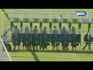 Video preview image for Hamilton Park 19:15 - Free Month Trial Of Racing UK Handicap