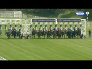 Video preview image for Newbury 14:00 - Be Wiser Insurance Novice Stakes (Plus 10)