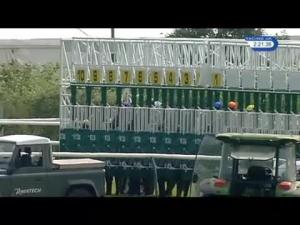 Video preview image for Nottingham 14:20 - Carling Customer Maiden Stakes