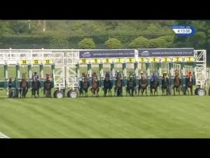 Video preview image for Newbury 16:10 - Be Wiser Insurance 'Restricted' Handicap