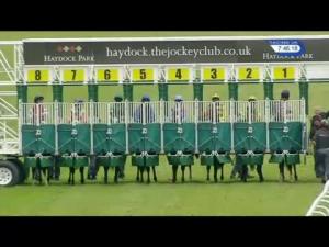 Video preview image for Haydock Park 19:45 - Brian Pell's 65th Birthday Novice Stakes (Plus 10)