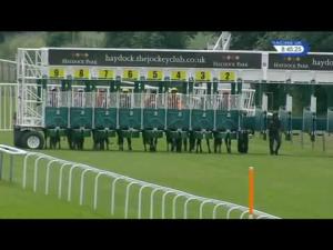 Video preview image for Haydock Park 20:45 - Steve & Liam Neal's Super Sprint Handicap