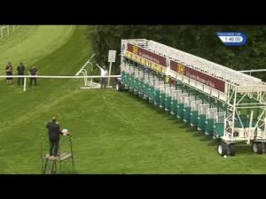Video preview image for Sandown Park 13:45 - Visit Sri lanka/EBF Stallions Novice Stakes