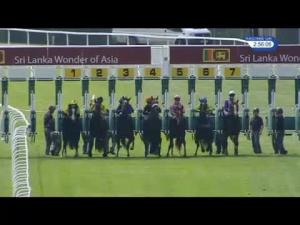Video preview image for Sandown Park 14:55 - Amazing Sri lanka/ebfstallions.com Maiden Stakes