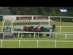 Video preview image for Sandown Park 16:05 - Sri Lanka: Something For Everyone Handicap