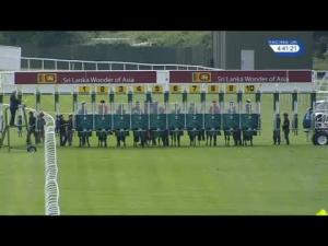 Video preview image for Sandown Park 16:40 - Beck Handicap