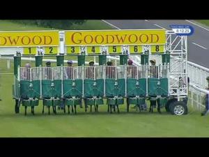 Video preview image for Goodwood 18:10 - Free Month Trial Of Racing UK Novice Auction Stakes (Plus 10)