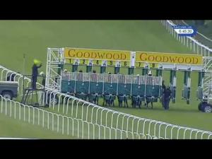 Video preview image for Goodwood 18:45 - Federation Of Bloodstock Agents Apprentice Handicap