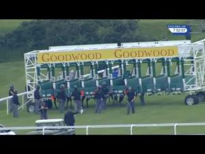 Video preview image for Goodwood 19:50 - Russian Standard Original Handicap