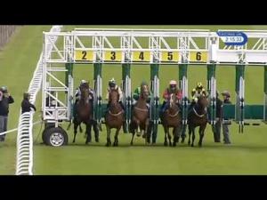 Video preview image for Salisbury 14:15 - Blind and Track Service Handicap