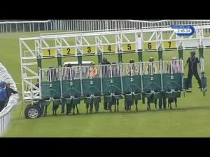 Video preview image for Salisbury 14:45 - Manor Farm Butchers Handicap
