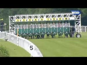 Video preview image for Salisbury 16:20 - Toby Balding Memorial Novice Stakes (Plus 10)