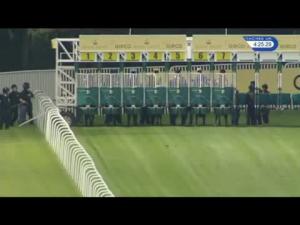 Video preview image for Ascot 16:20 - St James's Palace Stakes (Group 1) (British Champions Series) (Rnd)