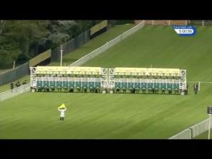 Video preview image for Ascot 17:00 - Ascot Stakes (Handicap)