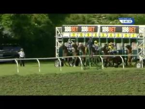 Video preview image for Thirsk 17:45 - EBF Stallions Best Odds Guaranteed At 188Bet Maiden Stakes
