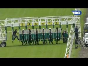 Video preview image for Hamilton Park 14:10 - racinguk.com/freetrial Novice Auction Stakes