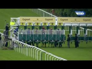Video preview image for Ascot 16:20 - Prince Of Wales's Stakes (Group 1) (British Champions Series)