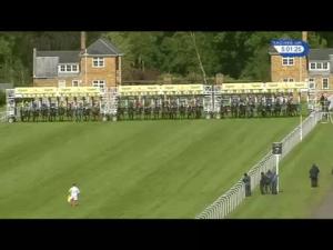 Video preview image for Ascot 17:00 - Royal Hunt Cup (Heritage Handicap) (Str)