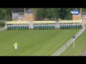 Video preview image for Ascot 17:00 - Britannia Stakes (Heritage Handicap) (Str)