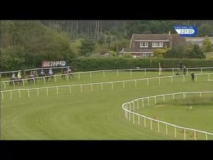 Video preview image for Market Rasen 15:20 - Gp Shipping Novices' Chase