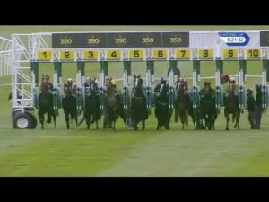 Video preview image for Newmarket 18:20 - Henbrandt Ltd Importer Of Harlequin Brand Handicap