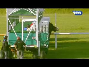 Video preview image for Newmarket 18:55 - Ngk Spark Plugs Novice Stakes (Plus 10)