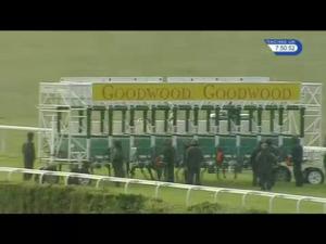Video preview image for Goodwood 19:50 - Russian Standard Original Stakes (Handicap)